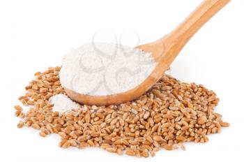 Spoon flour and wheat grain