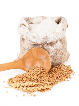 Flour in burlap bag with wheat ears