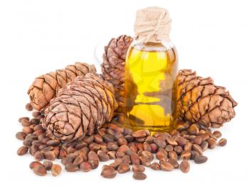 cedar oil and nuts