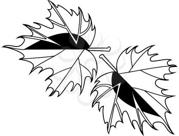 Royalty Free Clipart Image of Maple Leaves