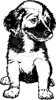 Royalty Free Clipart Image of a Puppy