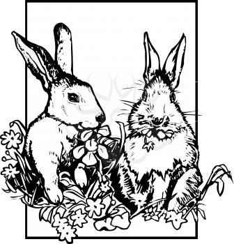 Rabbits Clipart