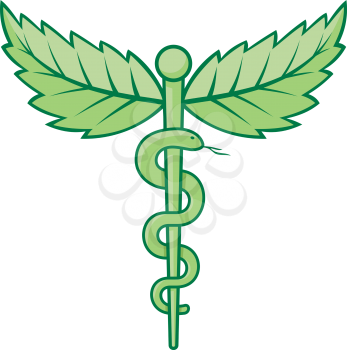 Royalty Free Clipart Image of a Snake Caduceus With Mint Leaves