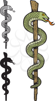 Royalty Free Clipart Image of Three Snakes on a Staff