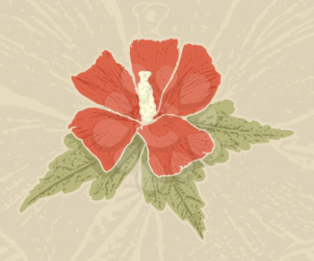 Royalty Free Clipart Image of a Hibiscus on a Grunge Background