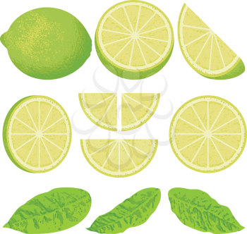 Royalty Free Clipart Image of Lime Slices and Leaves