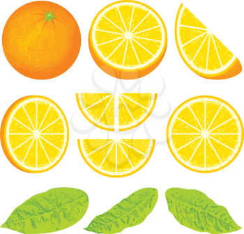 Royalty Free Clipart Image of Orange Slices