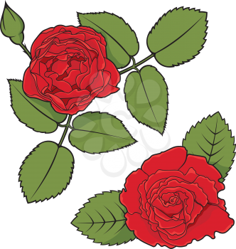 Royalty Free Clipart Image of Two Roses