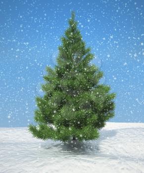 Royalty Free Clipart Image of a Fir-tree in Snow