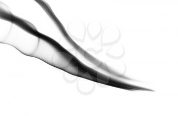 Abstract Fume waves on the white background
