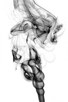 Abstract puff of black smoke over the white background