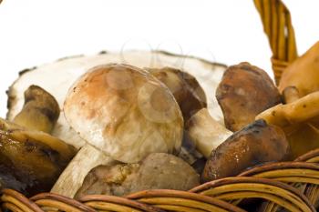 Closeup of mushrooms in the wicker woven basket