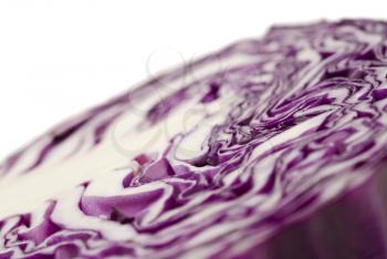 Extreme close-up of purple cabbage over white (shallow DOF). Useful as diet background