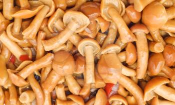 Food background - tasty champignons with pepper and onion