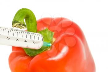 Genetically modified products - pepper and syringe on white