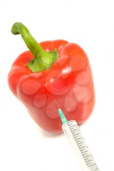 GMO - pepper with syringe injection on white 