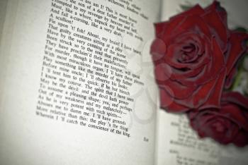 Red Roses on the book shallow DOF