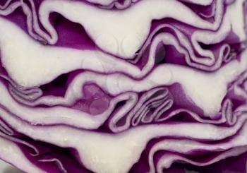 Cabbage - extreme closeup of its cut. Useful as background