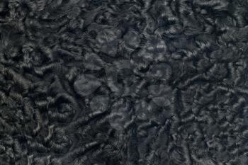 Closeup of black sheepskin fur. Useful as background
