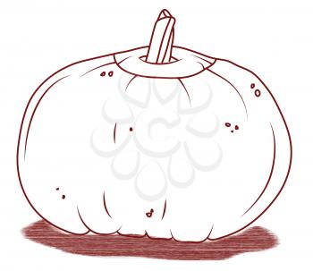 Pumpkin artistic Halloween illustration isolated. On white