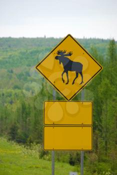 Royalty Free Photo of a Sign Warning of Moose Crossings