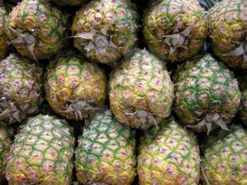 Royalty Free Photo of Pineapples