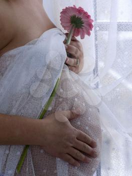 Royalty Free Photo of a Closeup of a Naked Pregnant Woman Covering in Sheer Drapes