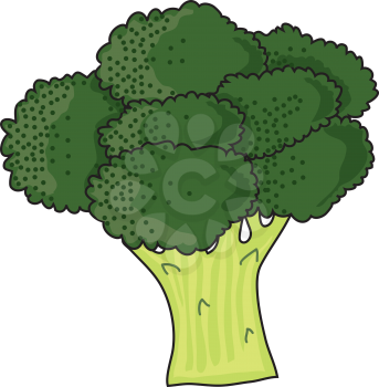 Royalty Free Clipart Image of Broccoli