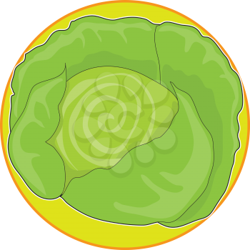 Royalty Free Clipart Image of a Head of Cabbage