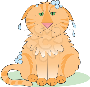 Royalty Free Clipart Image of a Cat Not Happy About a Bath
