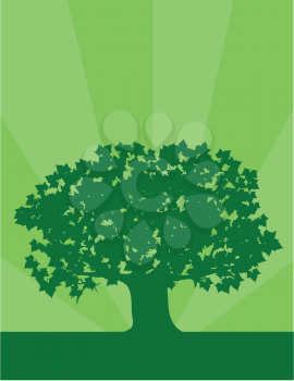 Royalty Free Clipart Image of a Green Silhouetted Tree on Green