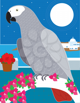 Royalty Free Clipart Image of a Grey Parrot on na Archway