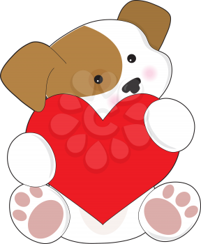 A cute brown and white puppy, is holding a red heart that is half as big as the puppy.
