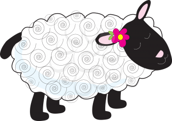 A little lamb has a curly, white coat and black face, legs and tail. A small flower sits beside one of her pink ears.