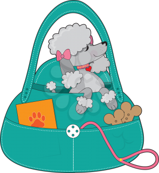 A dainty grey poodle with pink collar and bows, is sitting up pretty in a doggy carry all.