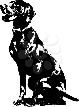 Royalty Free Clipart Image of a German Pointer