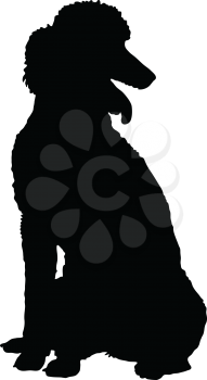 A Poodle dog shown in sitting position in black silhouette profile.