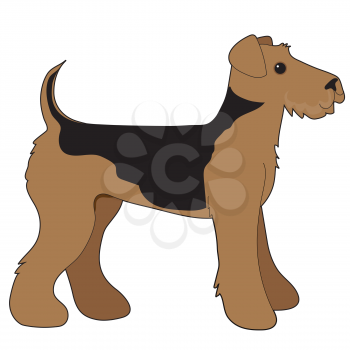 A cartoon illustration of an Airedale Terrier