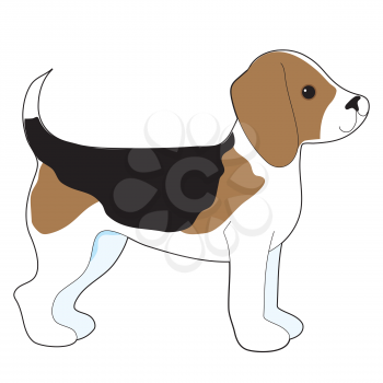 A cartoon drawing of a cute little Beagle puppy