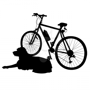 A dog is lying dog next to a bike waiting for his owner to return