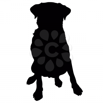A silhouette of a sitting Labrador Retriever which could also be a generic short haired dog