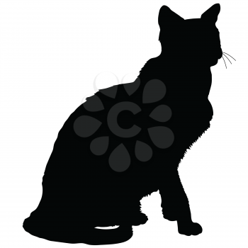 A black silhouette of a sitting siamese cat