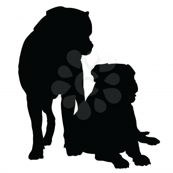 Silhouette of a pair of large dogs such as a Rotweiller, Bull Mastif or Bulldog