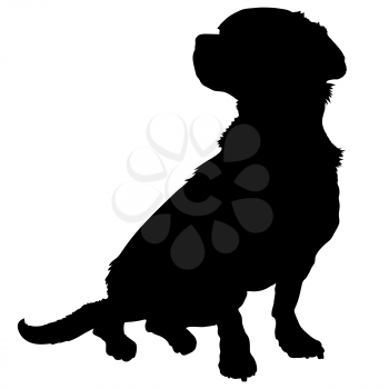 A black silhouette of a sitting mixed breed dog