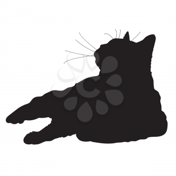 A black silhouette of a cat