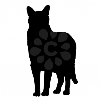A black silhouette of a cat