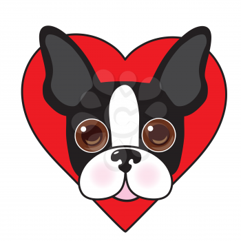 A cute illustration of a Boston Terrier face with a red heart in the background