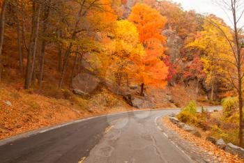 Royalty Free Photo of a Country Road in Autumn
