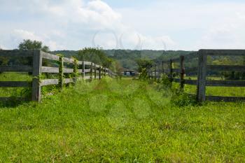Royalty Free Photo of a Pasture