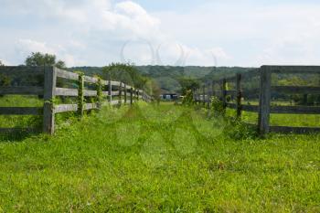 Royalty Free Photo of a Lane Between Fences
